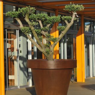 test gran formato 316x316